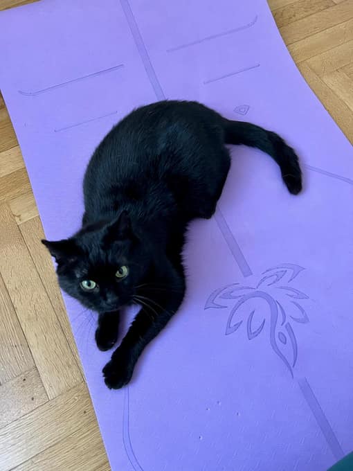 Jiji, un chat noir